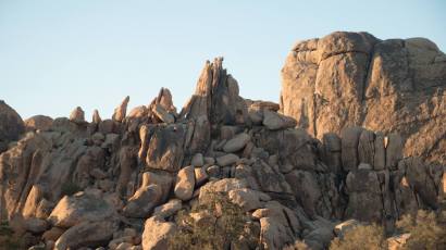 11717525_10205898541400000_5160076059640465219_o